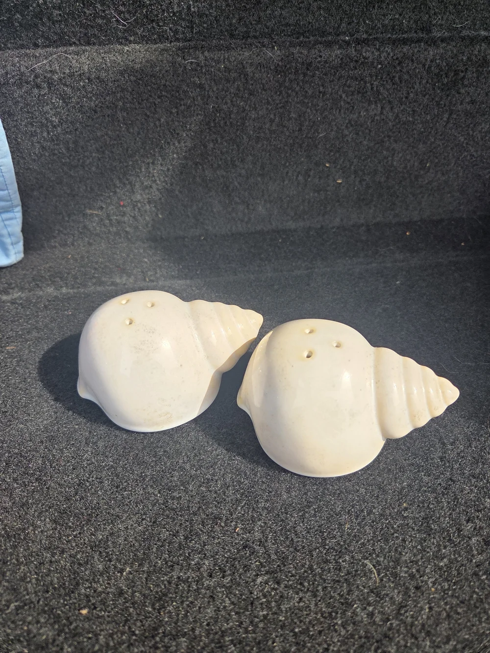 Ceramic Seashell Salt and Pepper Shaker Set - Cream